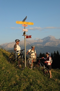 professional guided tours